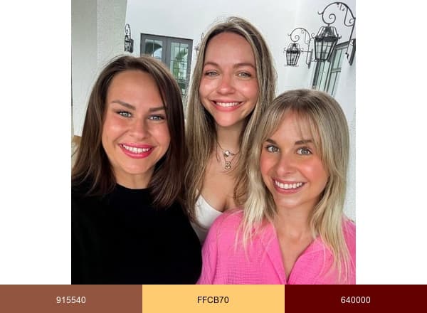 The Novice Chef brand color palette