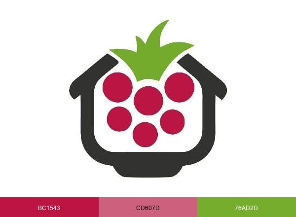 The Pi Hut brand color palette