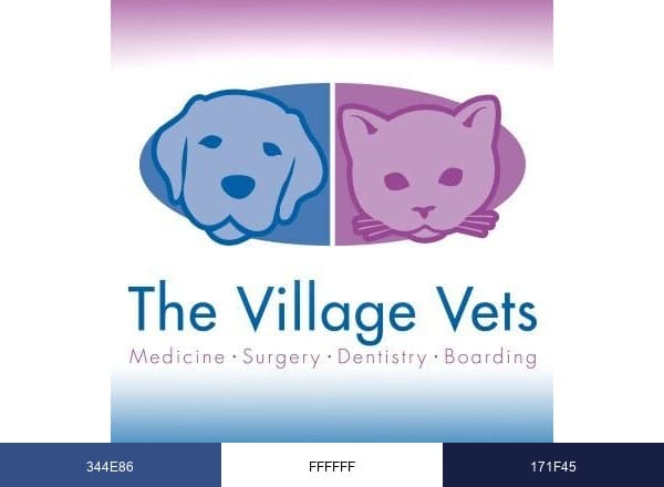 TheVillageVets brand color palette