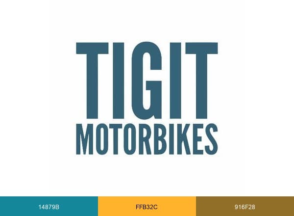 Tigit Motorbikes brand color palette