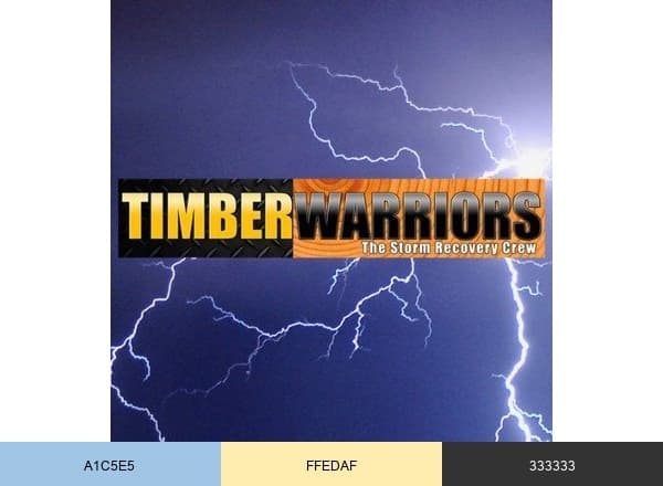 Timber Warriors brand color palette