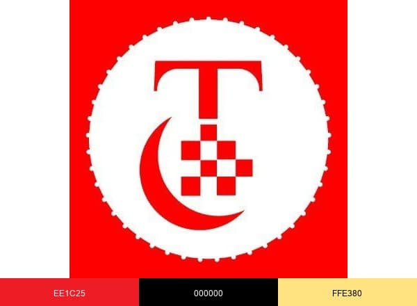 Times Consultant brand color palette