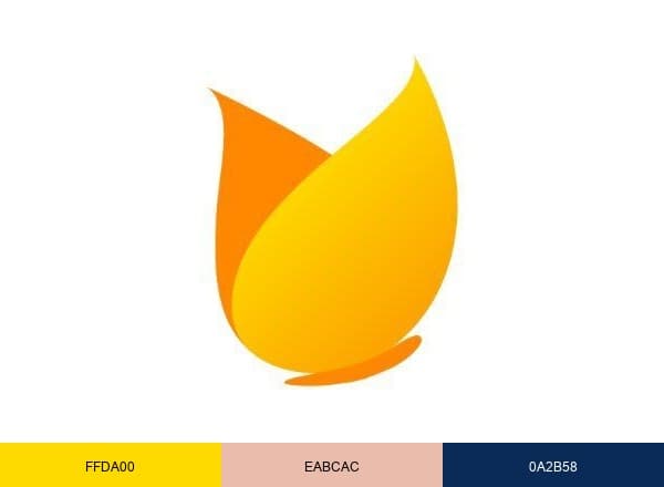 TinyEYE Therapy Services brand color palette