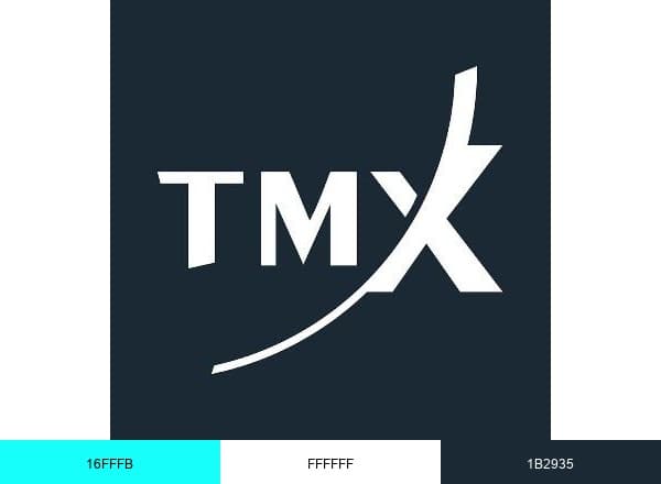 TMX Group brand color palette