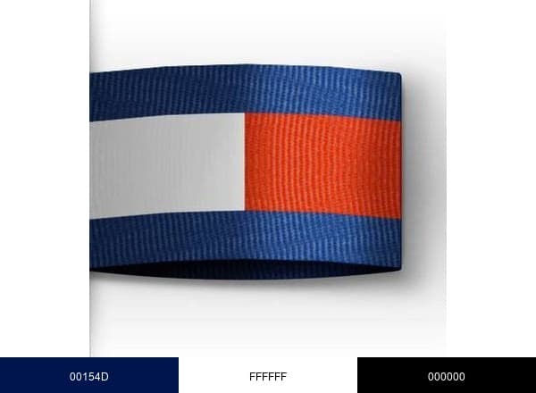 Tommy Hilfiger USA brand color palette