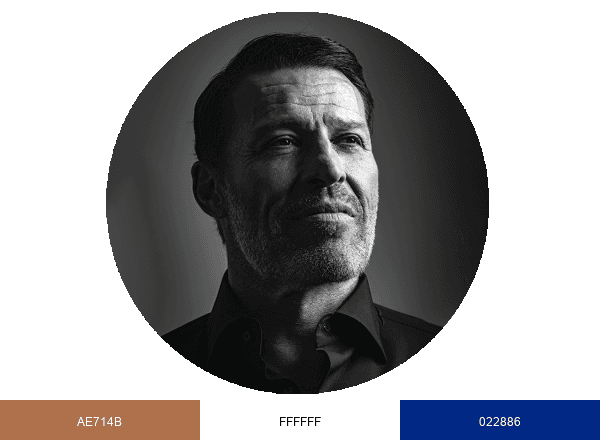 Tony Robbins brand color palette