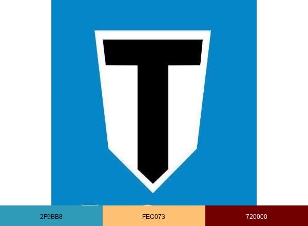 Top Games INC. brand color palette