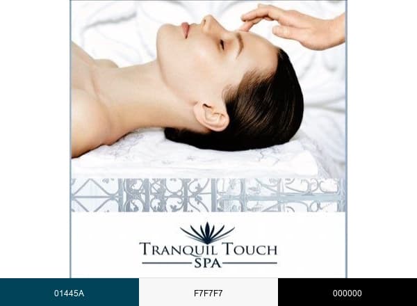 Tranquil Touch Spa brand color palette