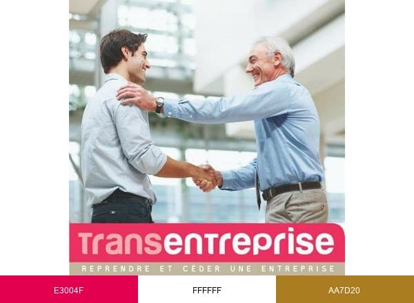 Transentreprise brand color palette