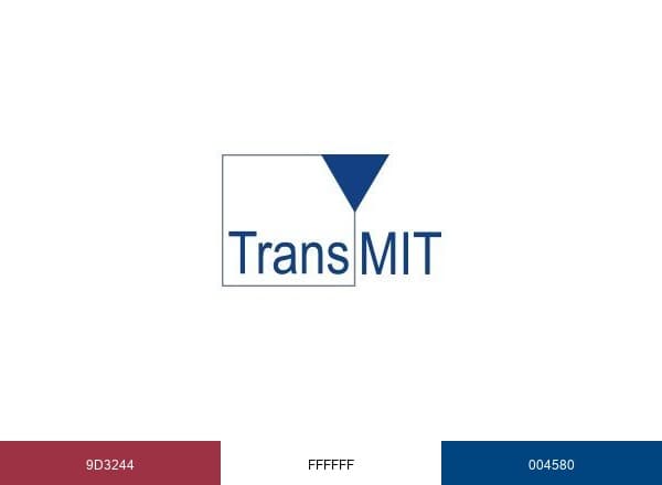 TransMIT GmbH brand color palette