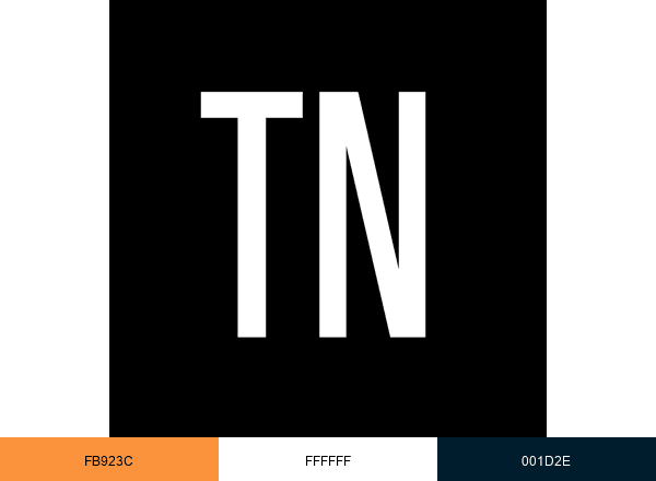 Travel Noire brand color palette