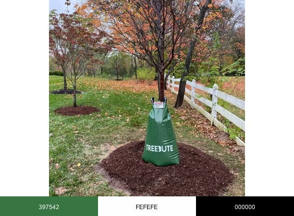 Treebute brand color palette
