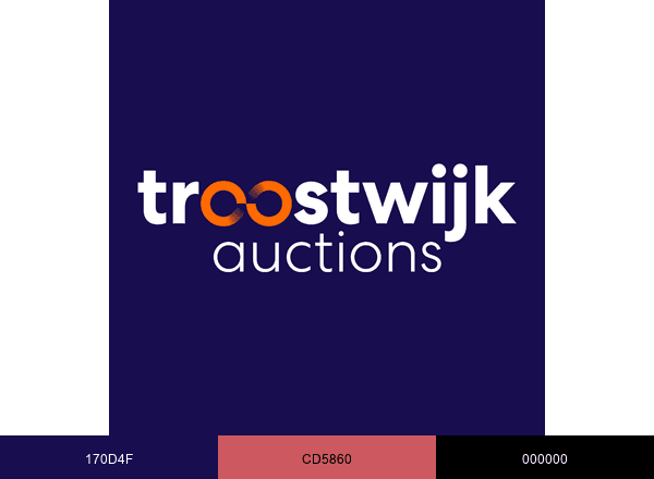 Troostwijk Auctions brand color palette