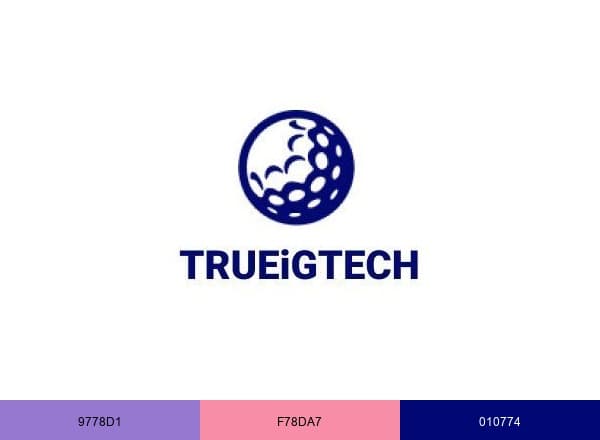 TRUEiGTECH - iGaming & Sweepstakes Software brand color palette