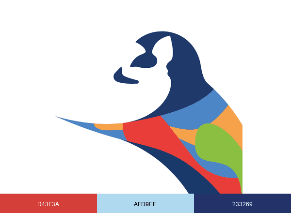 Tsaradia brand color palette