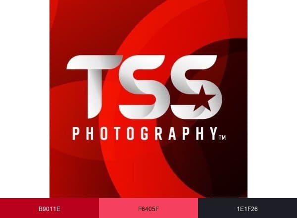 TSS Photography brand color palette
