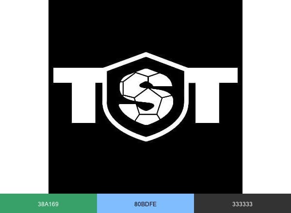 TST brand color palette