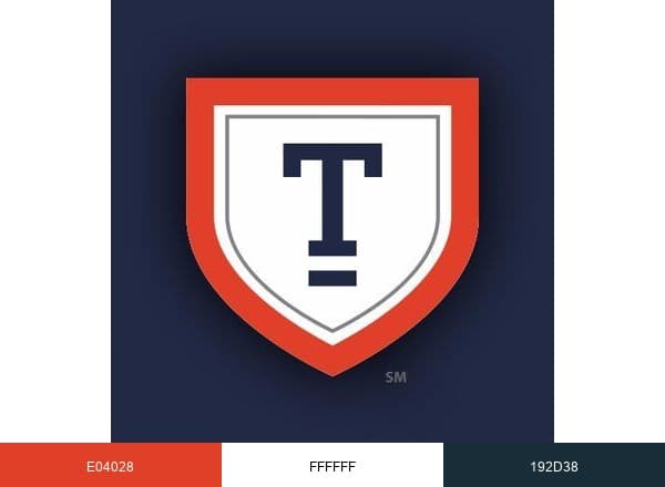Turnbridge brand color palette