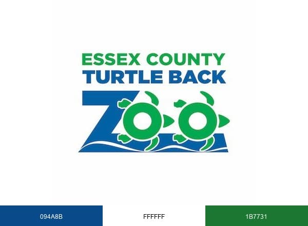 Turtle Back Zoo brand color palette