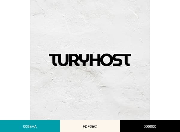 Turyhost brand color palette