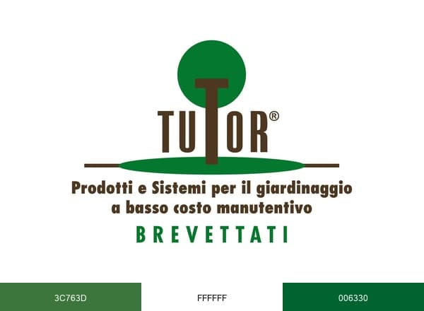 Tutor International srl brand color palette