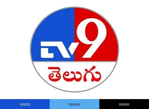 TV9 Telugu brand color palette
