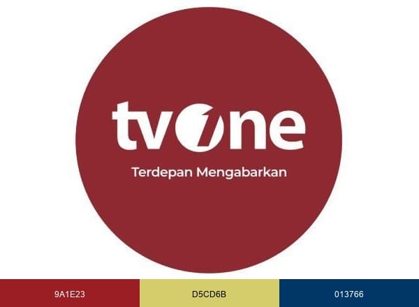 tvOnenews brand color palette