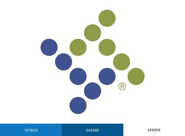Tyler Technologies brand color palette