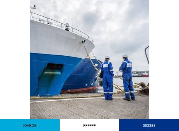 Tymor Marine brand color palette