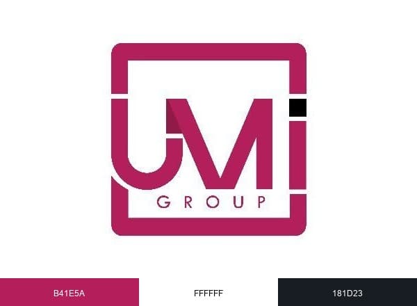 UMI GROUP brand color palette