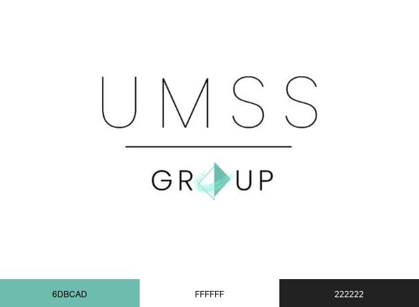 UMSS Group brand color palette