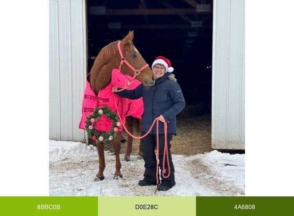 Unbridled Spirits Thoroughbred Retirement Ranch brand color palette