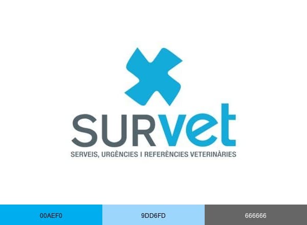 Survet Diagonal brand color palette