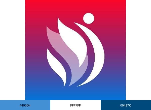 USA Gymnastics brand color palette