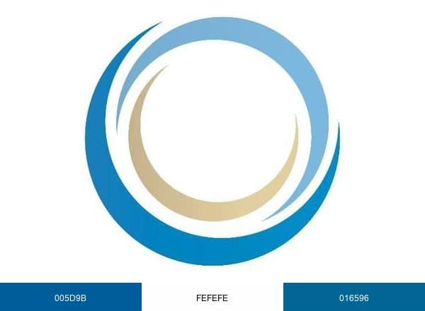 US Anesthesia Partners brand color palette
