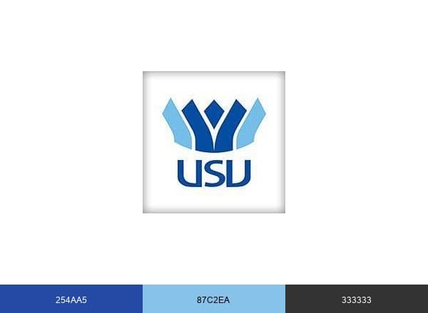 Universitatea ”Stefan cel Mare” brand color palette