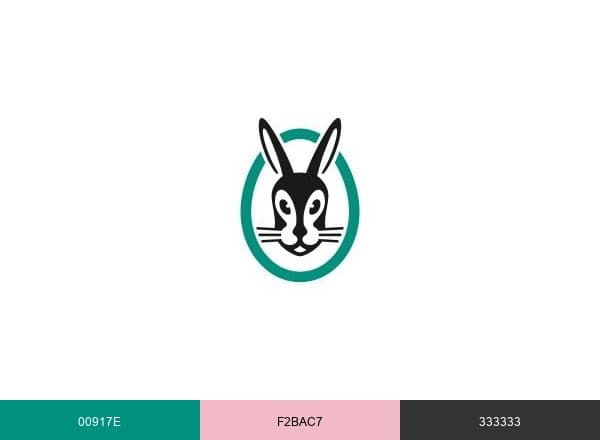 Vaillant brand color palette