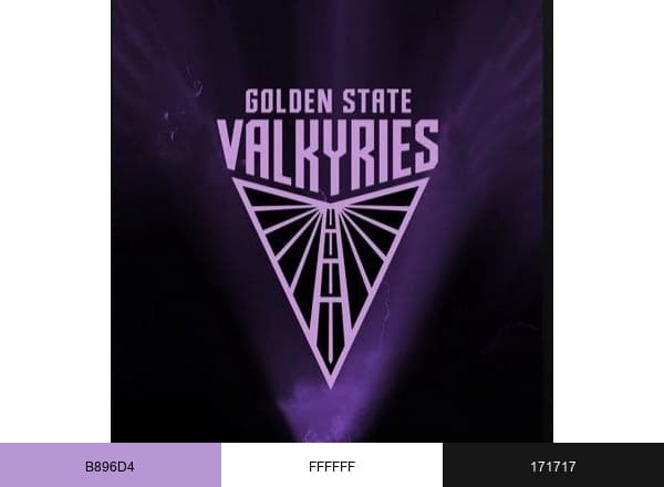 Golden State Valkyries brand color palette