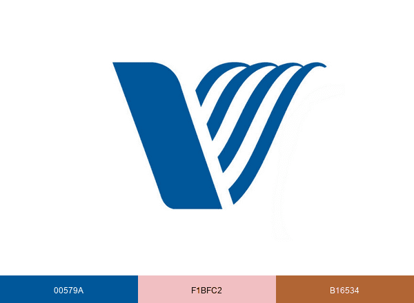 Valley Health brand color palette