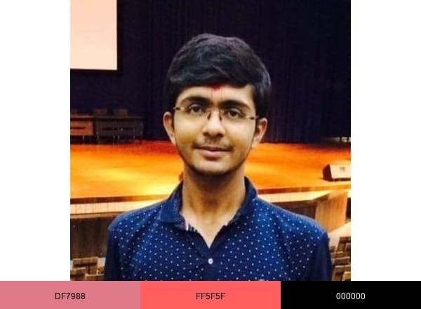 Ronak J Vanpariya brand color palette