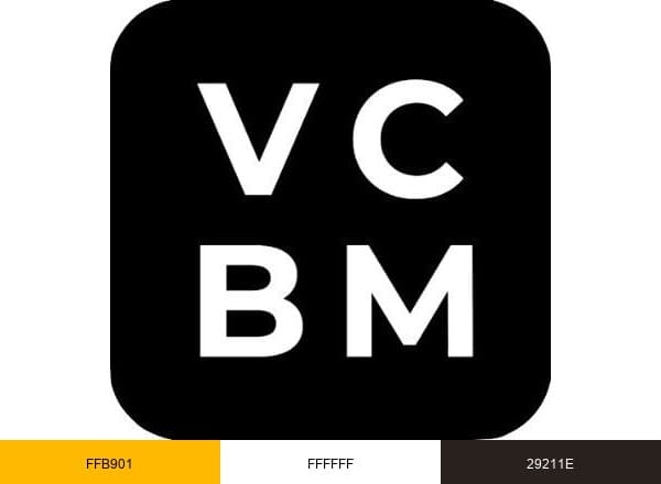 VC Backed Moms brand color palette