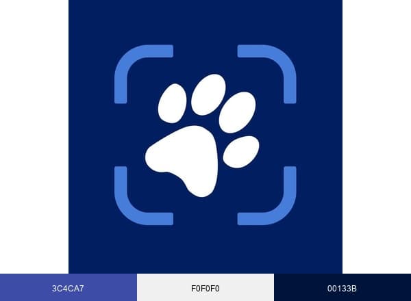 Vets Choice Radiology brand color palette