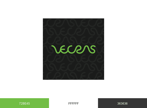 VecRas brand color palette