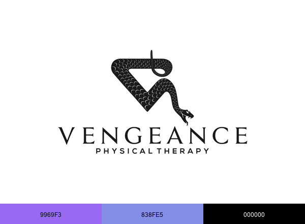Vengeance Physical Therapy brand color palette