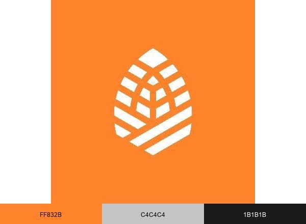 Verdova brand color palette