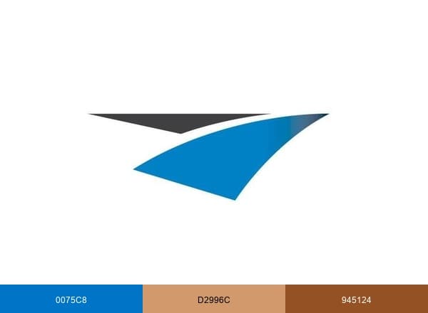 Veritext brand color palette