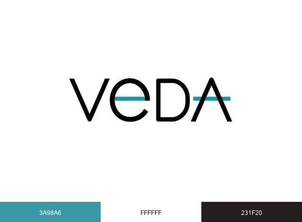 Vestibular Disorders brand color palette