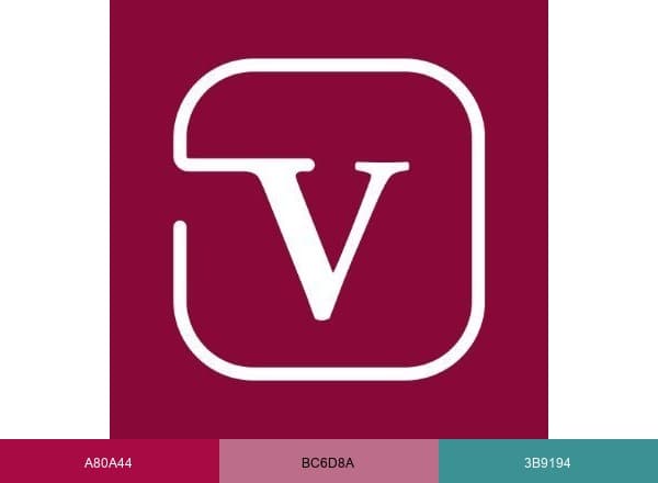 VET.CT brand color palette