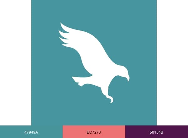 Veterinary Practice brand color palette