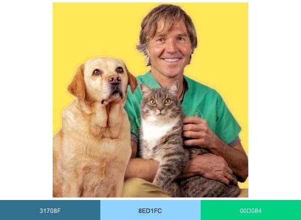 Veterinary Secrets brand color palette
